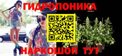 крисы Малоярославец