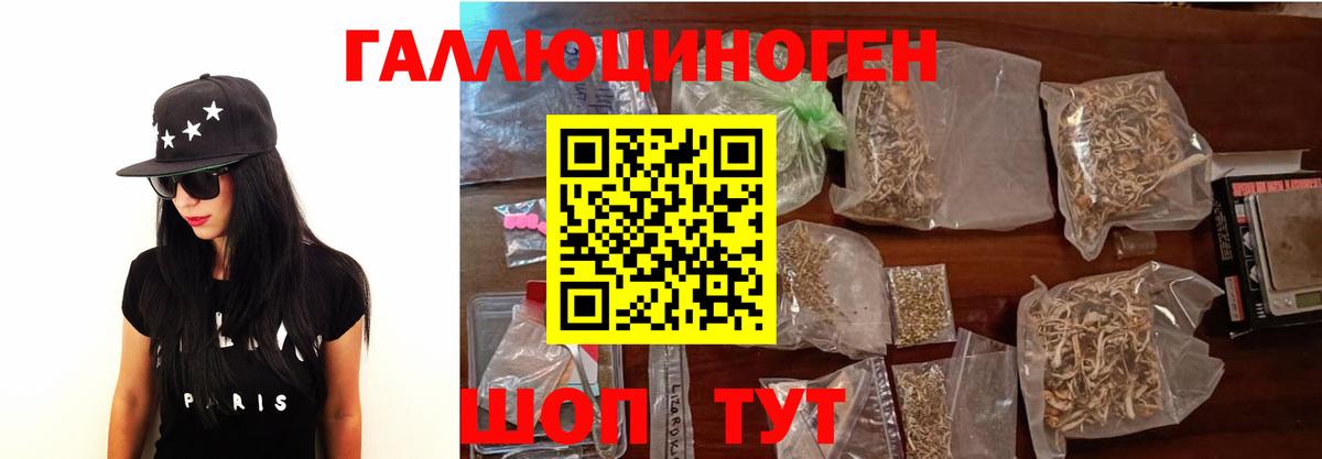 Галлюциногенные грибы Cubensis  Вход с VPN  Саяногорск 