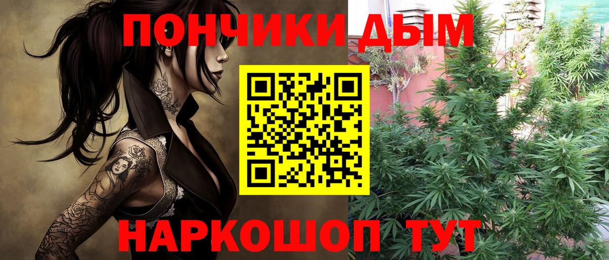 Шишки марихуана сатива Саяногорск